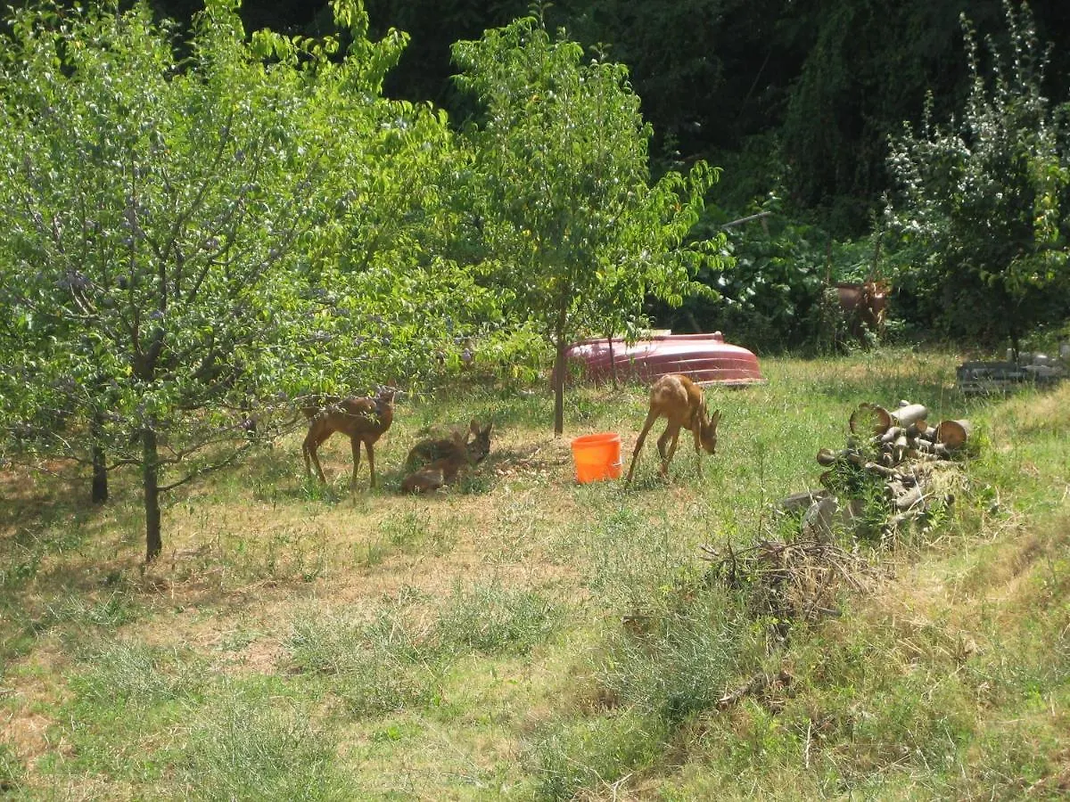 Villa Ana Lovran 0*,